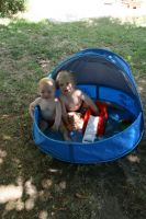 2011 08 01-IMG_1604.JPG